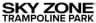 Skyzone logo