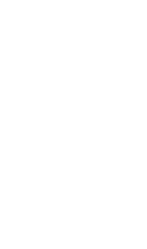 Lazoo logo