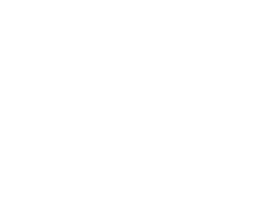 Paragonsports logo