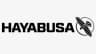Hayabusafight logo