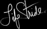 Lifestride logo
