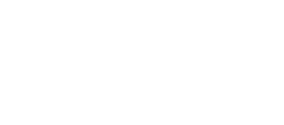 Wawa logo