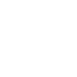Afflictionclothing logo
