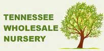 Tnnursery logo