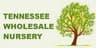 Tnnursery logo