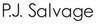 Pjsalvage logo