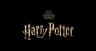 Harrypottershop logo