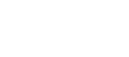 Ticketnetwork logo