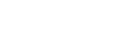 Leonisa logo