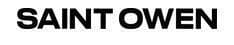 Saintowen logo