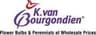 Dutchbulbs logo