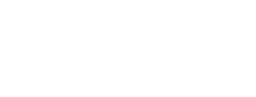Nestnewyork logo