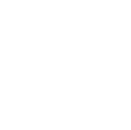 Hoover logo