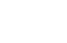 Wordpress logo