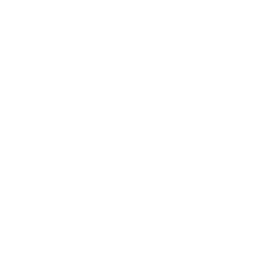 Evo logo