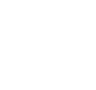 Evo logo