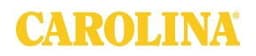 Carolinashoe logo