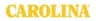 Carolinashoe logo