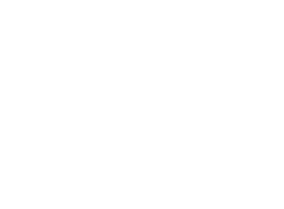Bestbullysticks logo