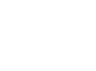 Bestbullysticks logo