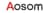 AOSOM logo