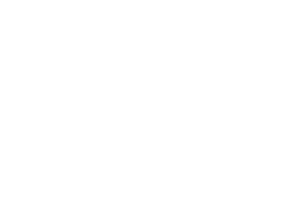 Bigbustours logo