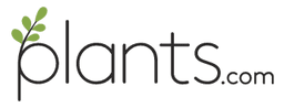 Plants logo