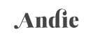 Andieswim logo