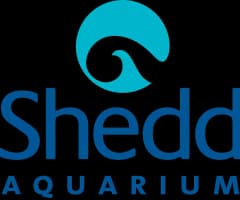 Sheddaquarium logo