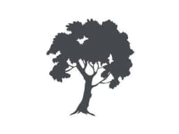 Katequinnorganics logo