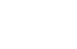Wordpress logo